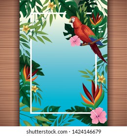 Summer blank card with exotic birds and tropical leaves with flowers on wooden background. vector illustration