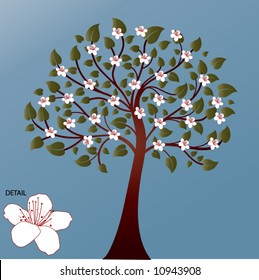 summer blossom tree