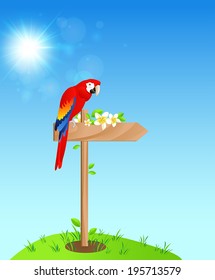 Summer blue  background with red parrot and flowers