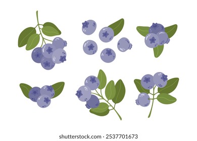 Summer blueberries with leaves. Hand drawn cartoon berries set illustration. 