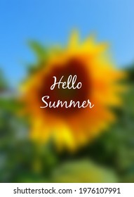 Summer blurred background. Blurry. Hello summer poster concept with sunflower
