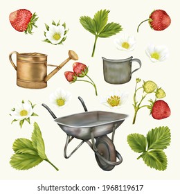 Summer boho old wheelbarrow, cup and funnel, strawberries flowers, leaves
