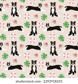 Summer border collie dogs seamless patterns. Printable digital papers. Seamless funny puppy pattern background. monstera watermelon