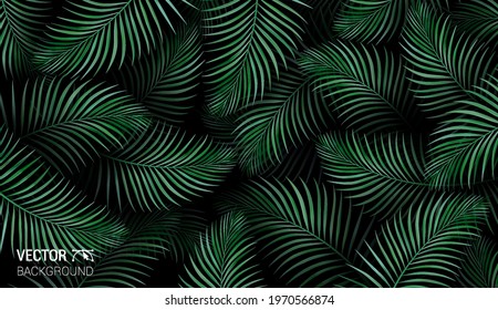 Summer botanical exotic pattern with green palm tropical leaves on dark. Vector on a black background. Design for cosmetics spa medical products travel company.