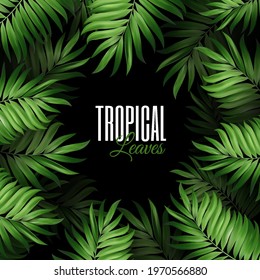 Summer botanical exotic pattern with green palm tropical leaves. vector design for banner or flyer with dark green and place for inscription text. Vector on black background.