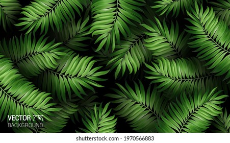 Summer botanical exotic pattern with green palm tropical leaves on dark. Design for cosmetics spa medical products travel company. Vector on a black background.