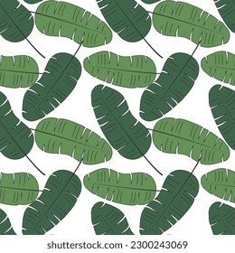 Summer Botanical seamless Pattern. Exotic banana Palm Leaves background. Tropical Green plants vector illustration