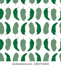 Summer Botanical seamless Pattern. Exotic banana Palm Leaves background. Tropical Green plants vector illustration