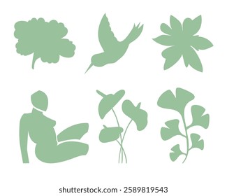 Summer botanical set with abstract floral design elements. Tropical Silhouettes of Birds, flowers, plants and woman figure enjoying sunset on nature. Abstract shapes leaves flat art. Isolated. Vector