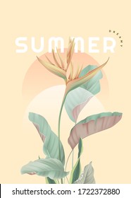 Summer botanical typographic poster, tropical plants with dreamy summer lettering