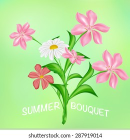 Summer bouquet of flowers