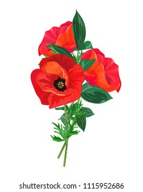 Summer bouquet .Greeting card with Red poppies,green leaves.Flowers on a white background.Vector illustration.