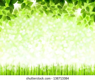 Summer branch with fresh green leaves above the glade