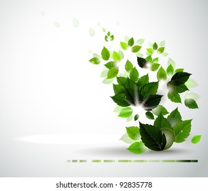Summer branch with fresh green leaves