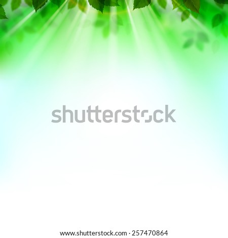 Summer branches with fresh green leaves 