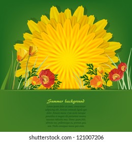 Summer bright background with dandelion and poppies