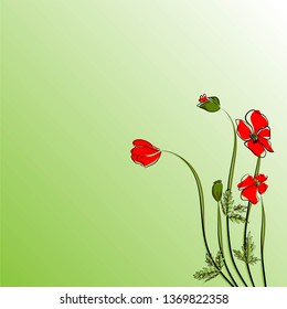 Summer bright background with poppies