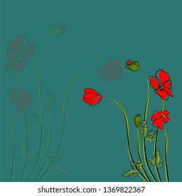 Summer bright background with poppies