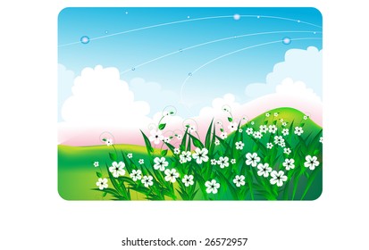 summer bright landscape with white flowers