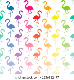 Summer bright seamless pattern with flamingo birds in rainbow colors on isolated background in vector