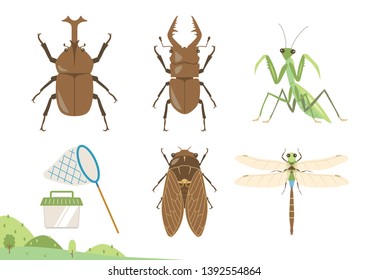 Summer bugs vector illustration set / beetle,
stag beetle, Mantis ,cicada , dragonfly
