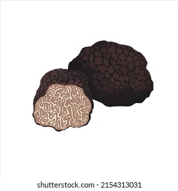 Summer burgundy truffle hand-drawing flat, vector illustration isolated on white background.