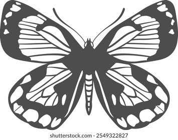 Summer butterfly. Decorative black drawing. Winged insect