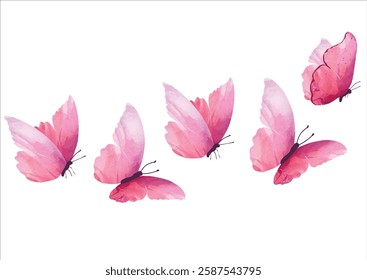 summer butterfly vector design hand drawn design