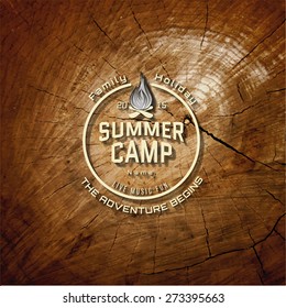 Summer camp badges logos and labels for any use. On wooden background texture. EPS10