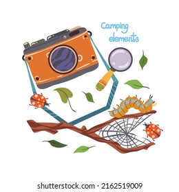 Campo de verano. Ilustración vectorial. Camping con cámara, lupa. Insectos en la rama. Postales, pegatinas