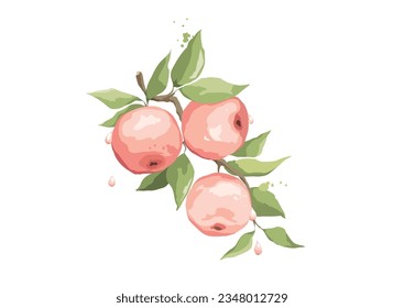 Summer card with apple branch. Design elements with fruits, Vector illustration in a watercolor style.