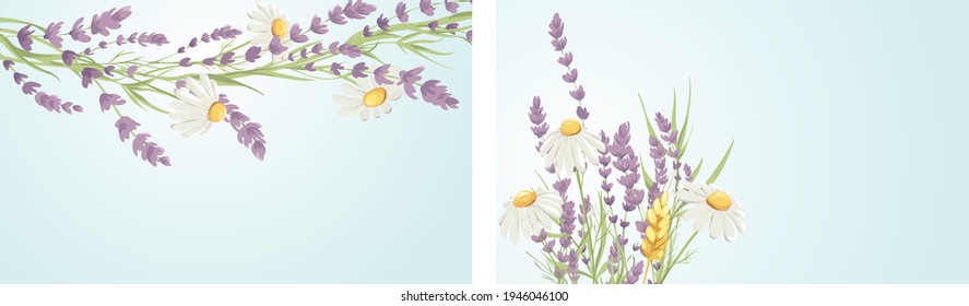 Summer card with bouquet. Birthday, Wedding or Mothers Day illustration. Vector design element, lavender and chamomile, medicinal herbs.	