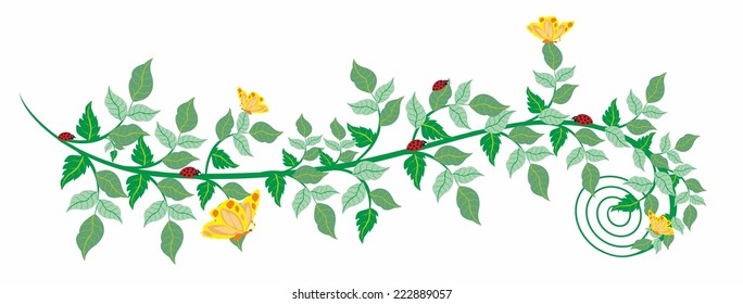 Summer card with butterflies