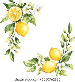 Cartão de verão com flores e ramo de limão. Elementos de design floral para convite de casamento, rótulo para bebidas. Ilustração vetorial. Elementos de design floral