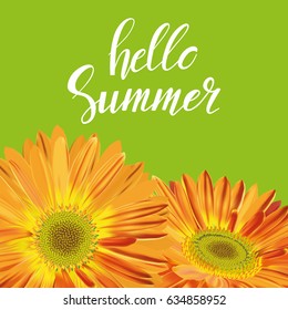 Summer card with gerbera flower and text Hello summer. Vector illustration, EPS 10