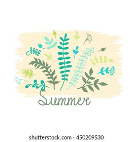 Summer card  with herbs.  Illustration for greeting cards, invitations, and other printing projects.