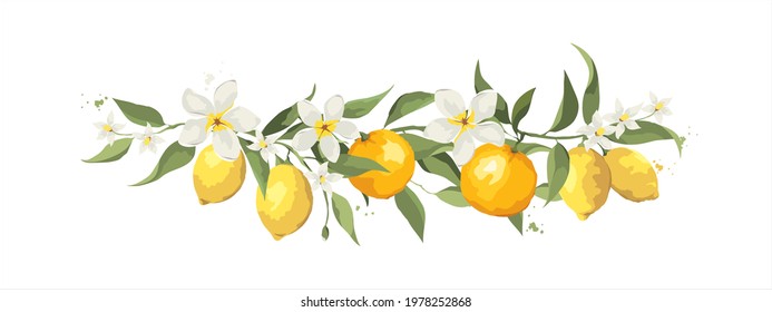 Summer card with jasmine flowers and citrus branch. Floral design elements, vector illustration, label.	