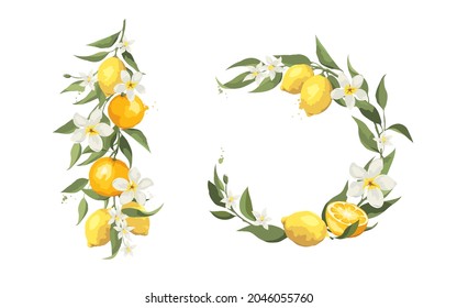 Summer card with jasmine flowers and citrus branch. Floral design elements for wedding invitation, vector illustration, label.	