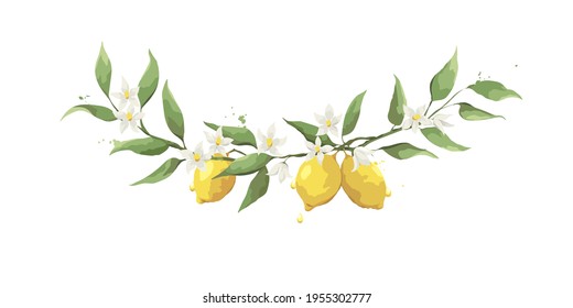 Summer card with lemon branch. Design elements with flowers and fruits, vector illustration, background.	