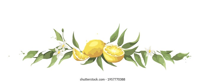 Summer card with lemon branch. Design elements with citrus fruits, vector illustration, label.	