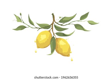 Summer card with lemon branch. Design elements with citrus fruits, vector illustration, label.	