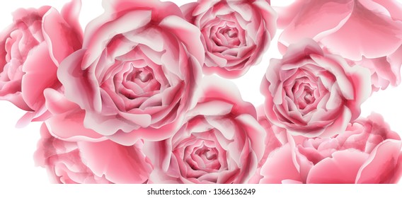 Summer card with rose flowers Vector. Vintage floral frame decor