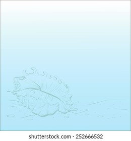 Summer Card with Sea Shell, place for your text