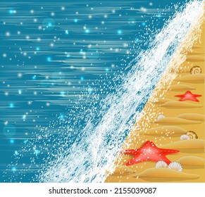 Summer card with sea shells on the beach , vector illustration	