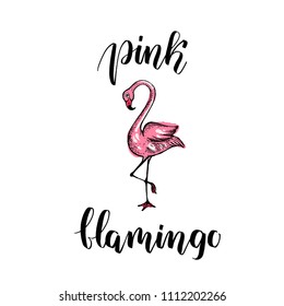 Summer card. Sketch of pink flamingo. Vintage engraved illustration isolated on white background. Template for label, poster, postcard, invitation, flyer, logo, web. Pink flamingo lettering