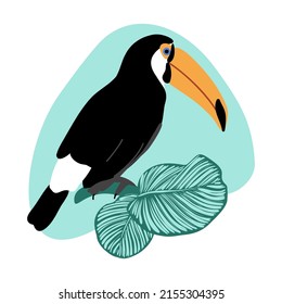 Summer card with toucan and calathea leaves on abstract spot background, tropical exotic bird with big beak and green jungle leaves vector illustration