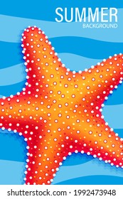 Summer cards perfect for prints, flyers, banners, invitations. Set of colorful summer holidays cards. Background with Seashells, Seastar, Sand. Summer landscape. Vacation concept. Vector illustration