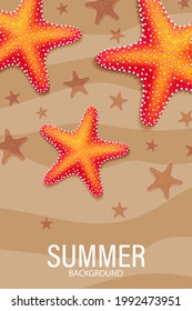 Summer cards perfect for prints, flyers, banners, invitations. Set of colorful summer holidays cards. Background with Seashells, Seastar, Sand. Summer landscape. Vacation concept. Vector illustration