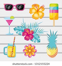 summer cartoon collection overwooden background vector graphic digital image