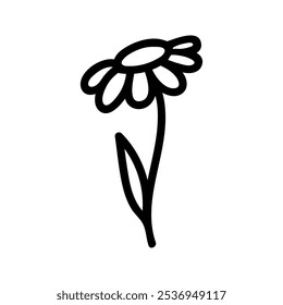 Summer chamomile flower. Hand drawn doodle illustration.